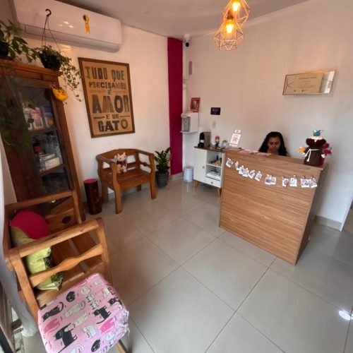 WhatsApp Image 2025-11-11 at 10.55.44