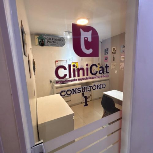 WhatsApp Image 2025-11-11 at 10.55.45