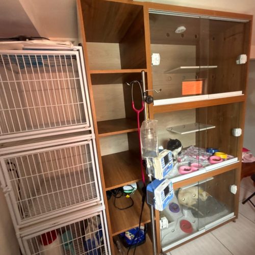 WhatsApp Image 2025-11-11 at 10.55.46 (2)