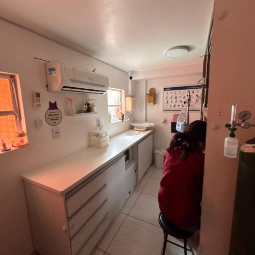 WhatsApp Image 2025-11-11 at 10.55.46 (3)