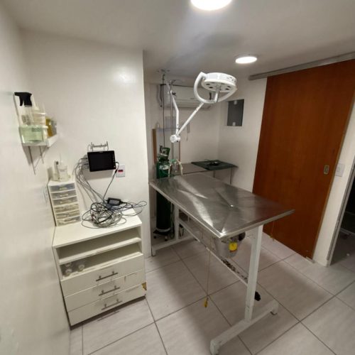 WhatsApp Image 2025-11-11 at 10.55.46